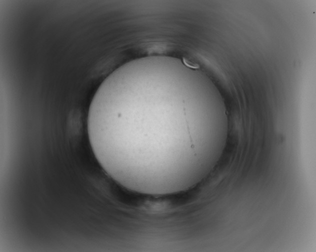 X0000093210311200710101331