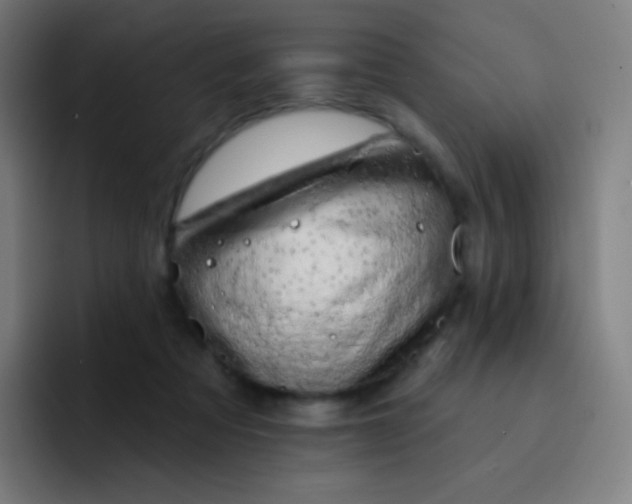 X0000093210313200710101331