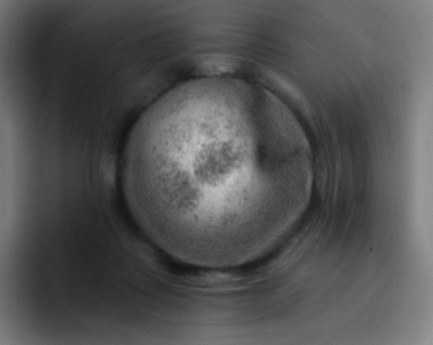 X0000093210315200710101331