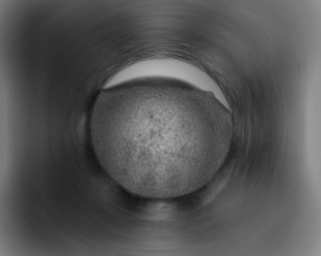 X0000093210319200710101331