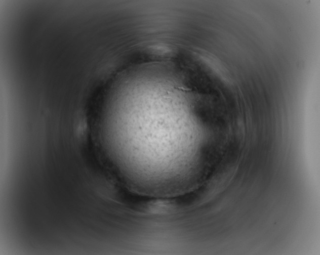 X0000093210320200710101331