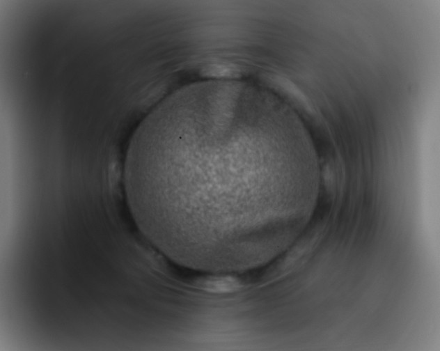 X0000093210322200710101331