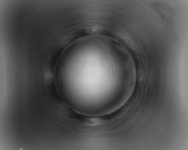 X0000093210324200710101331