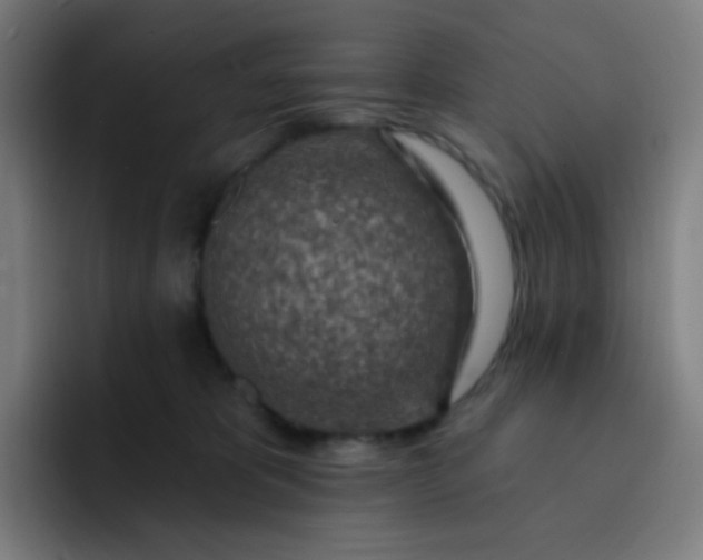 X0000093210325200710101331