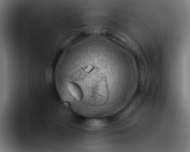 X0000093210326200710101331