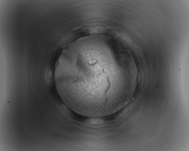 X0000093210327200710101331