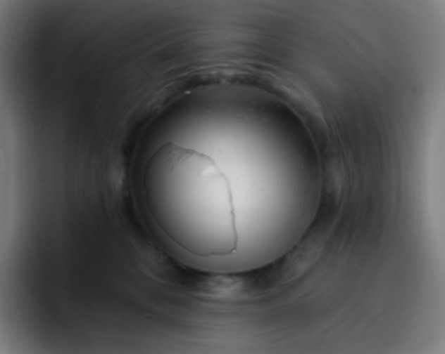 X0000093210328200710101331