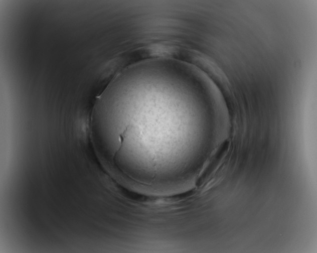 X0000093210329200710101331