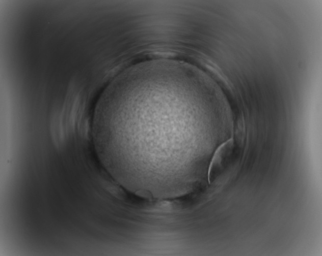 X0000093210330200710101331