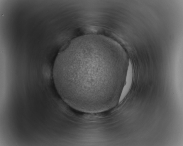 X0000093210331200710101331