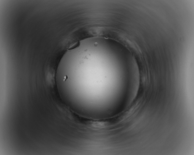 X0000093210332200710101331