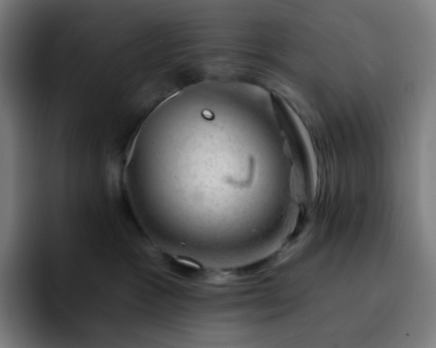 X0000093210333200710101331