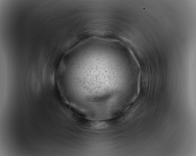 X0000093210334200710101331