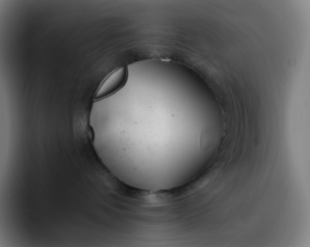 X0000093210336200710101331