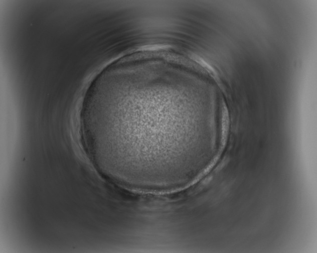 X0000093210337200710101330