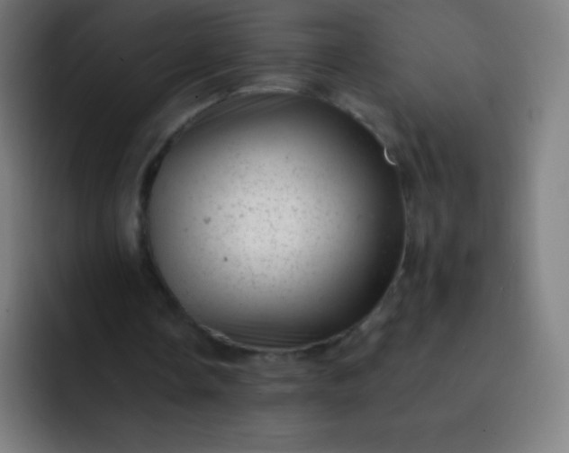 X0000093210338200710101330