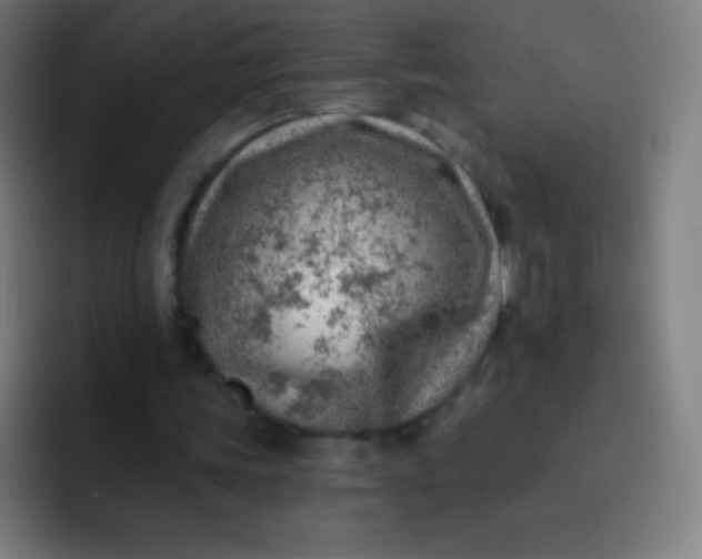 X0000093210339200710101330