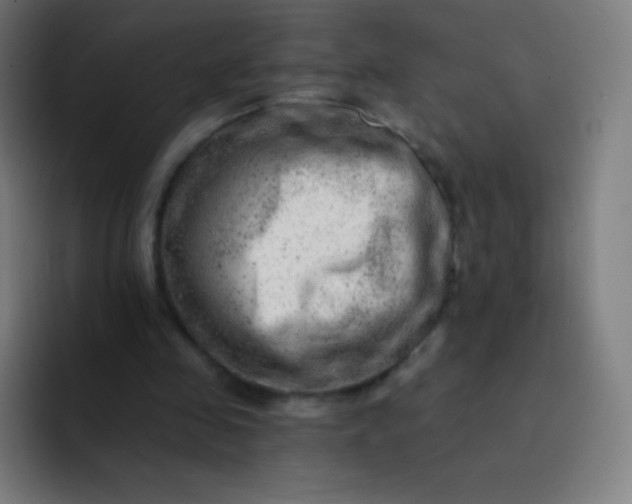 X0000093210341200710101330