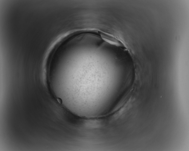 X0000093210342200710101330