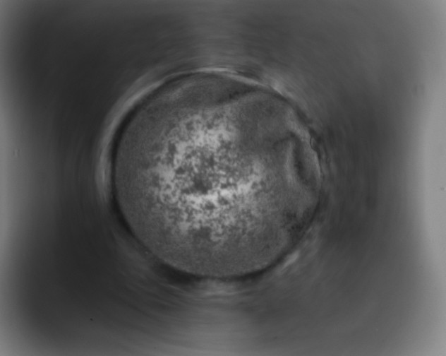 X0000093210343200710101330