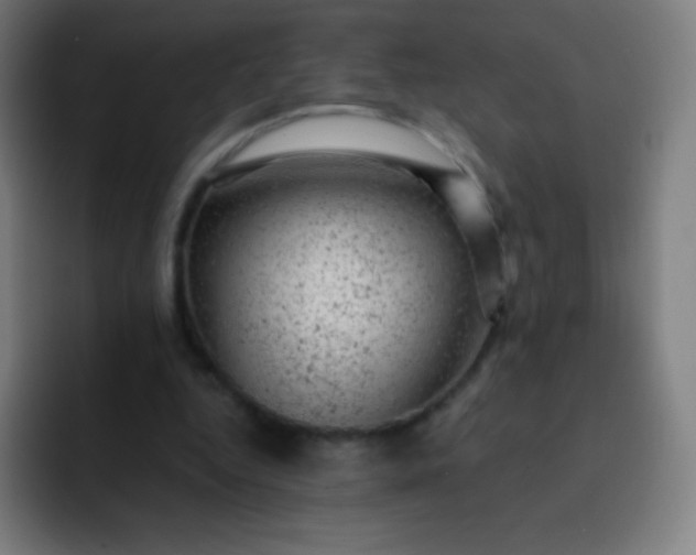 X0000093210344200710101330