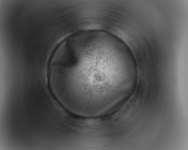 X0000093210345200710101330