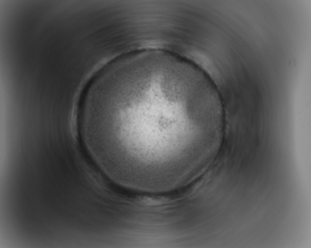 X0000093210346200710101331