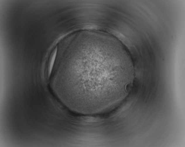 X0000093210347200710101331