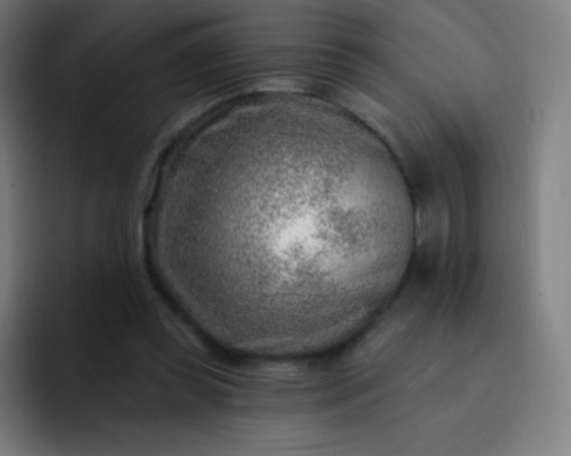 X0000093210349200710101331