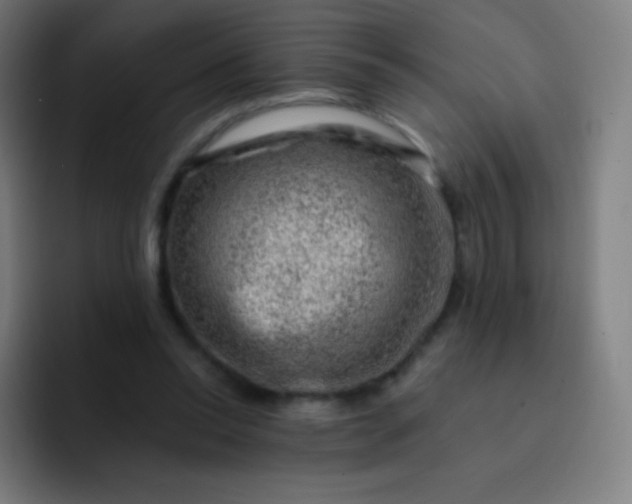 X0000093210350200710101331