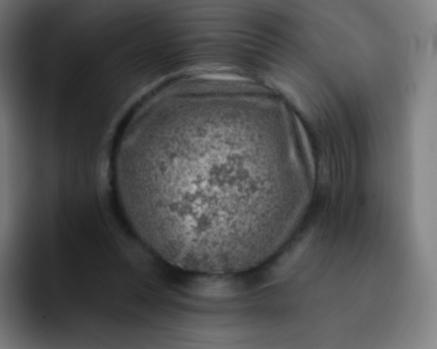 X0000093210351200710101331