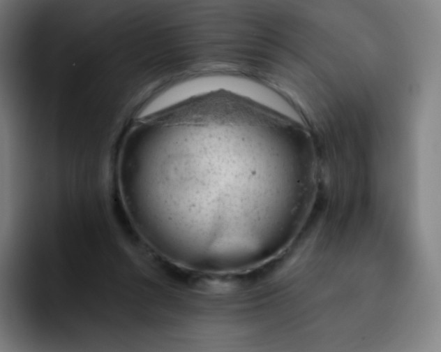 X0000093210352200710101331