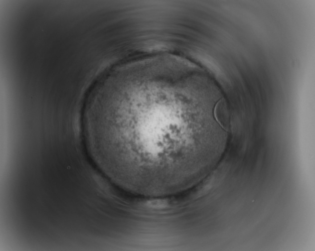 X0000093210353200710101331