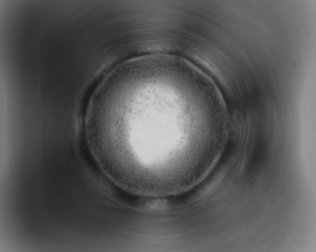 X0000093210355200710101331