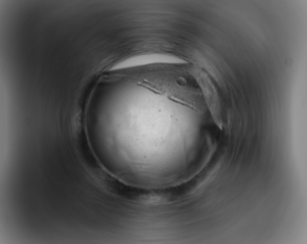 X0000093210356200710101331