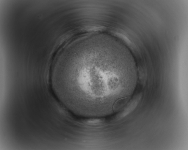 X0000093210357200710101331