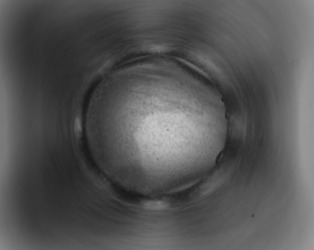 X0000093210358200710101331