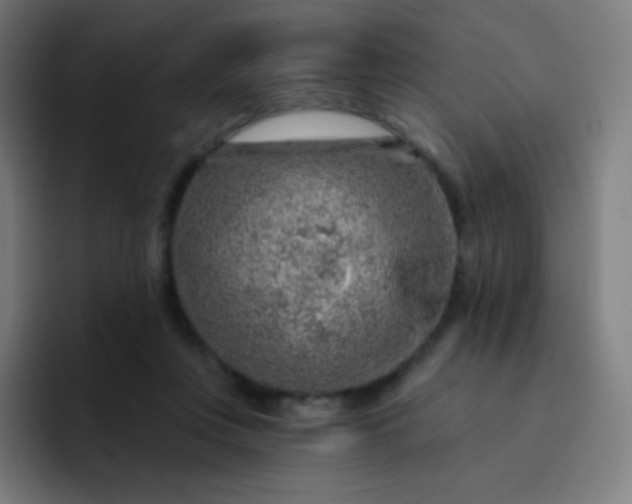 X0000093210359200710101331