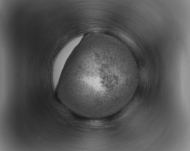 X0000093210361200710101331