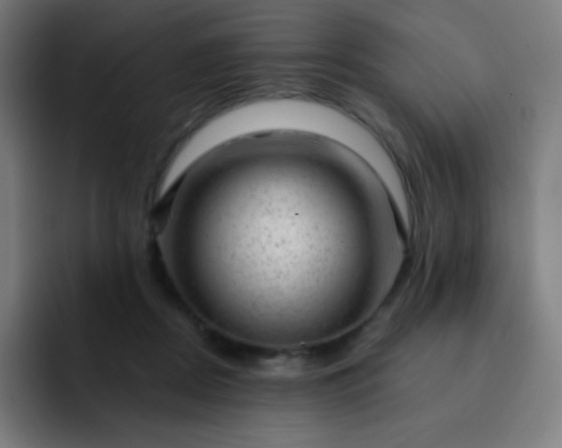 X0000093210362200710101331