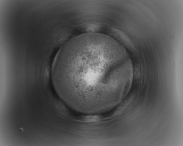 X0000093210363200710101331