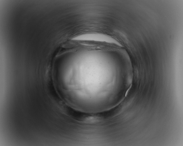 X0000093210364200710101331