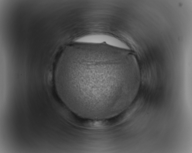 X0000093210365200710101331