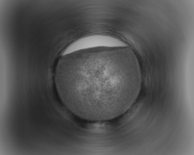 X0000093210366200710101331