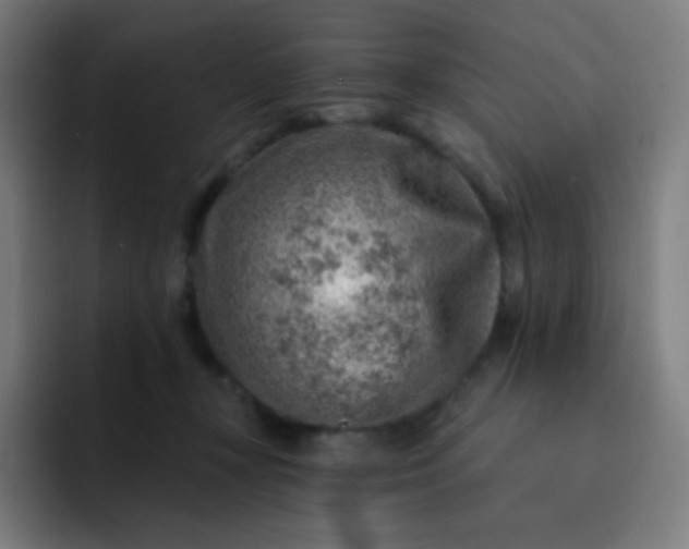 X0000093210367200710101331