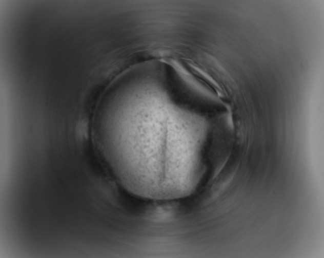 X0000093210368200710101331