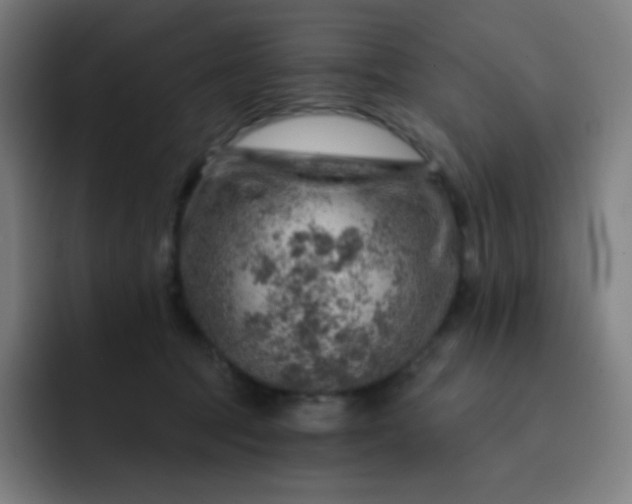 X0000093210369200710101331