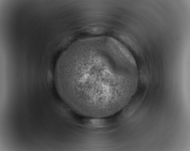 X0000093210371200710101331