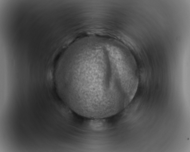 X0000093210373200710101331