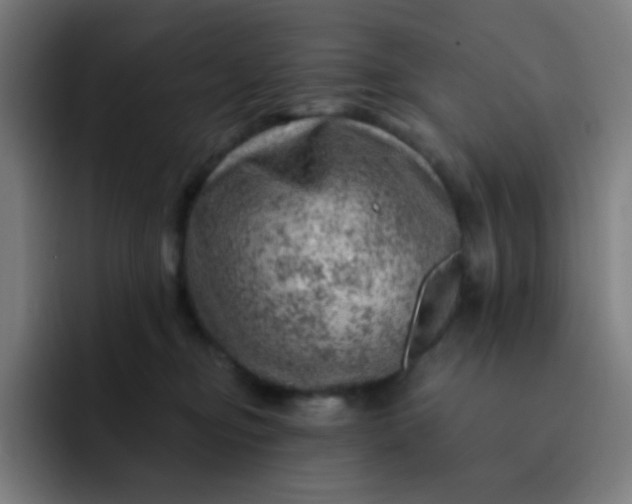 X0000093210374200710101331